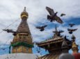 Land of the Gods Nepal Photography Tour: Capturing the Soul of Himalayas