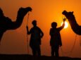 Pushkar Camel Fair Photography Tour in India: Capturing the Essence of Tradition and Celebration